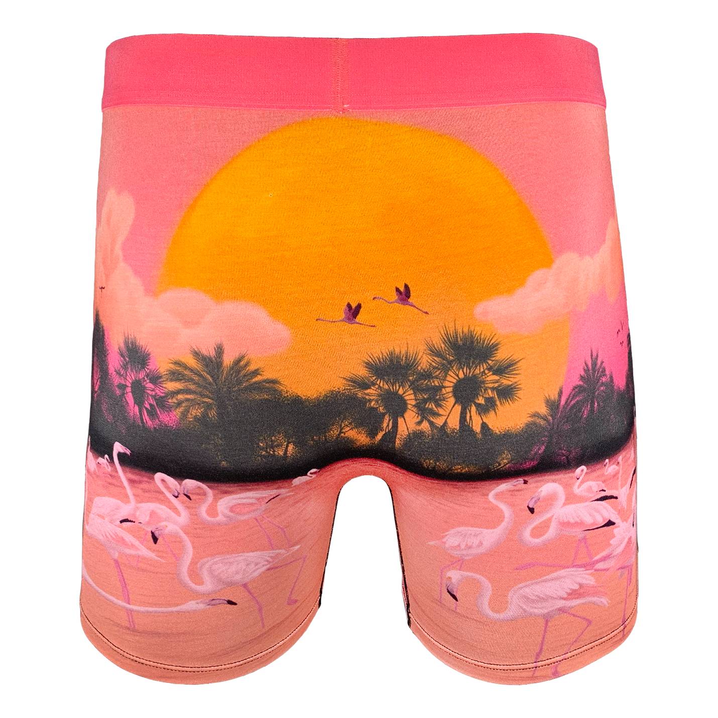 Men s Flamingo Paradise Underwear Good Luck Sock