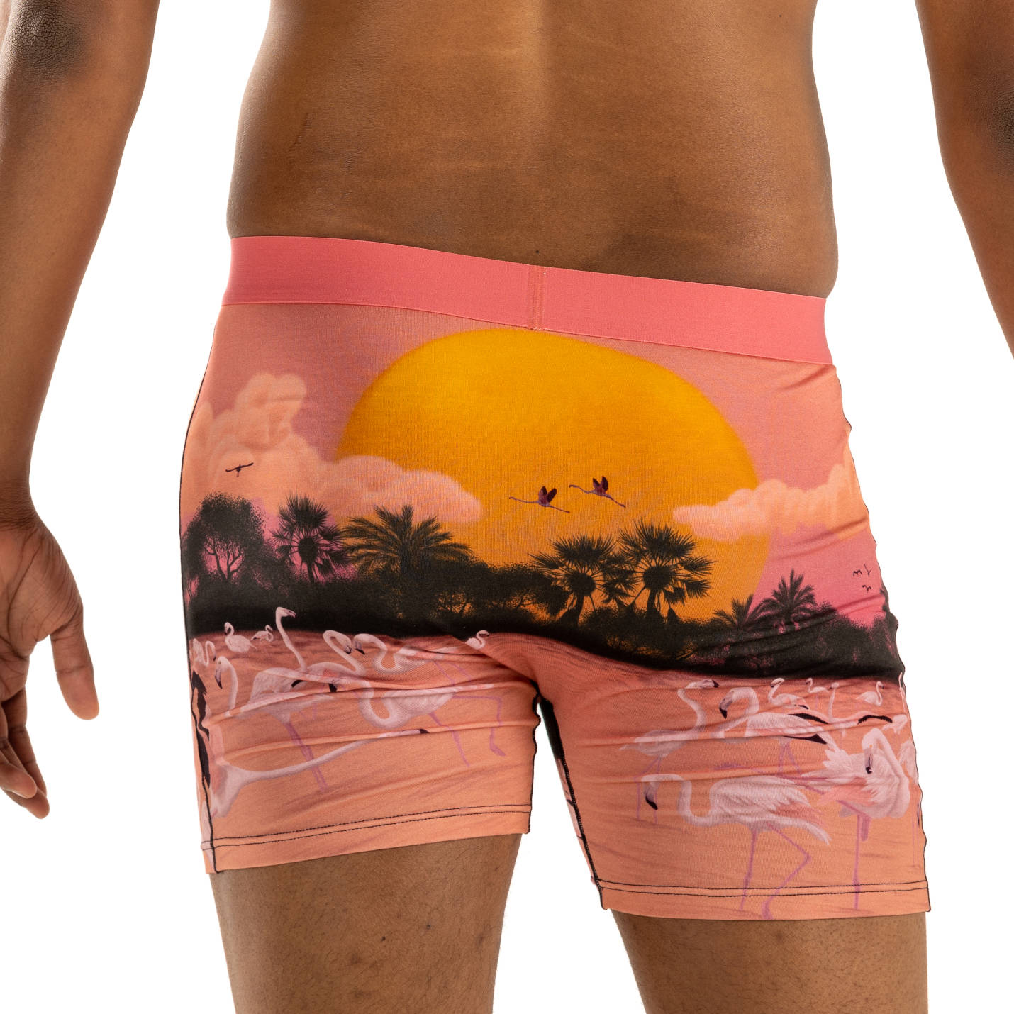 Men s Flamingo Paradise Underwear