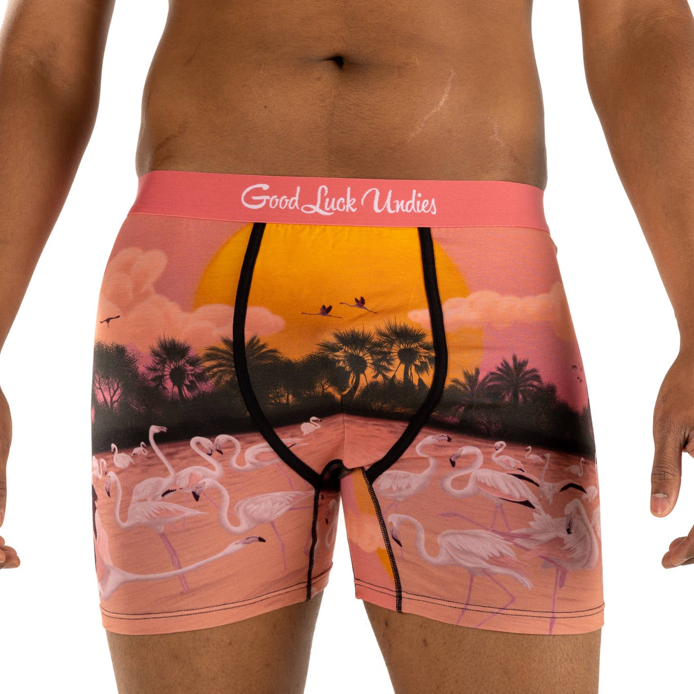 Men s Flamingo Paradise Underwear