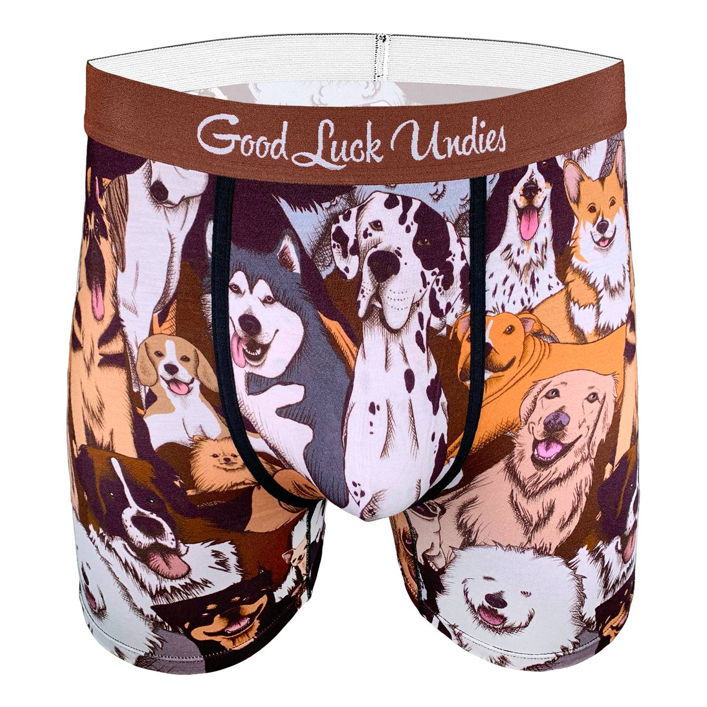 Boxer shorts 2024 for dogs