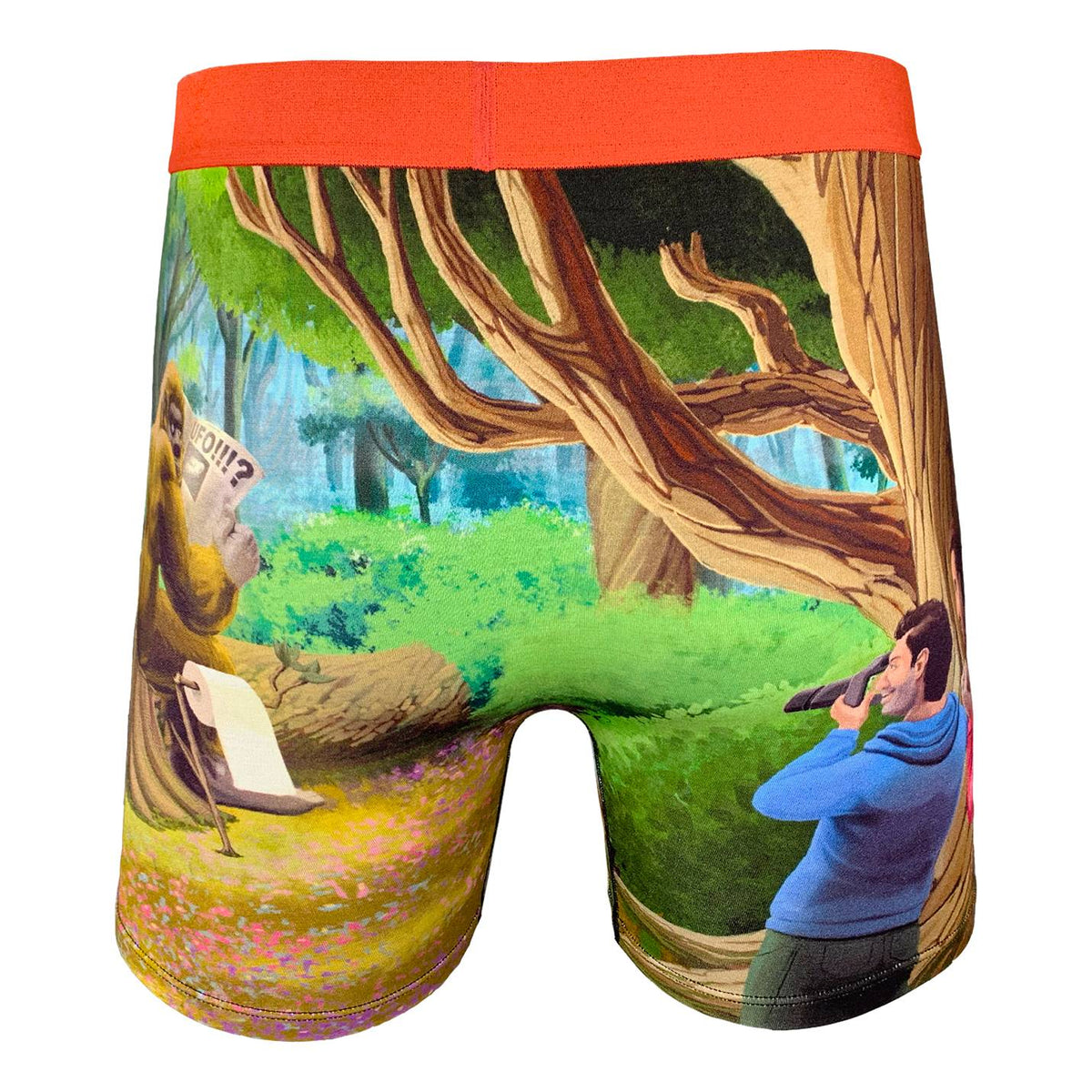 Toddler Boy Dinosaur Underwear : Target